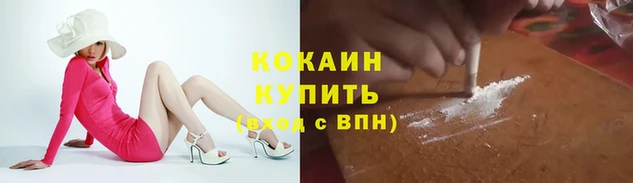 скорость Вяземский