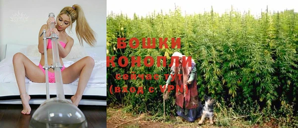 скорость Вяземский