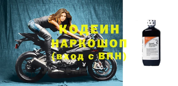 скорость Вяземский
